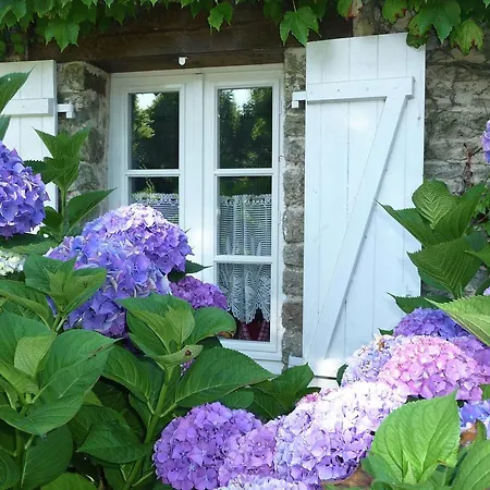 Semesterbostad Maison De Vacances - Herbignac Assérac